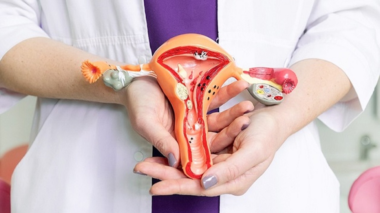 Phương pháp điều trị viêm âm đạo do Trichomonas