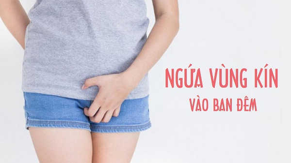 Nguyên nhân gây dị ứng và kích ứng vùng kín